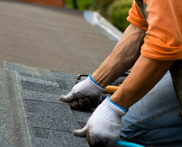 Best Flat Roof Repair Services  in Bigfork, MT